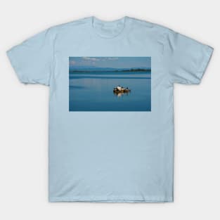 Cormorants in Grado Lagoon, Italy T-Shirt